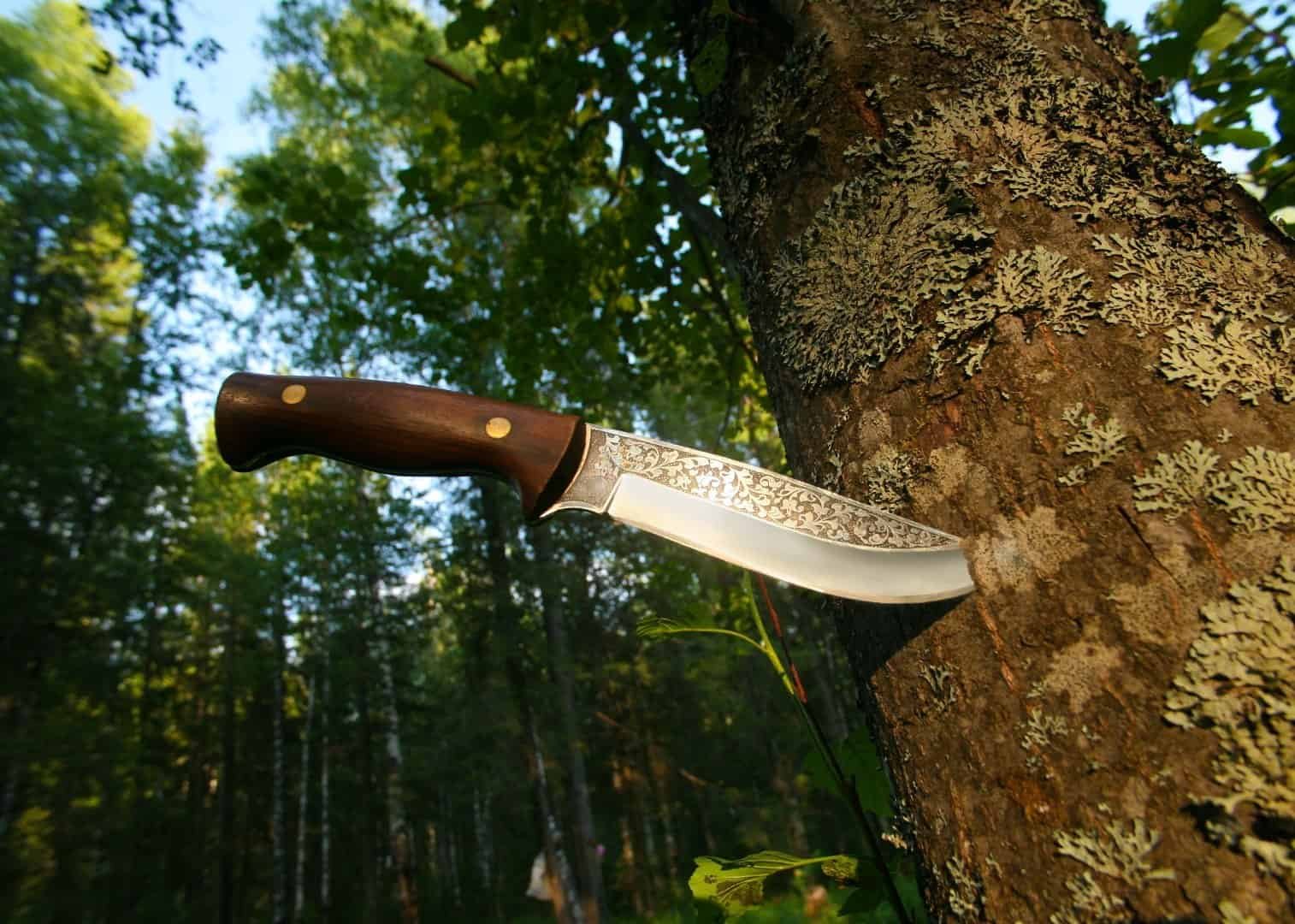 Best Bushcraft Knife in 2024 (REVIEW GUIDE)