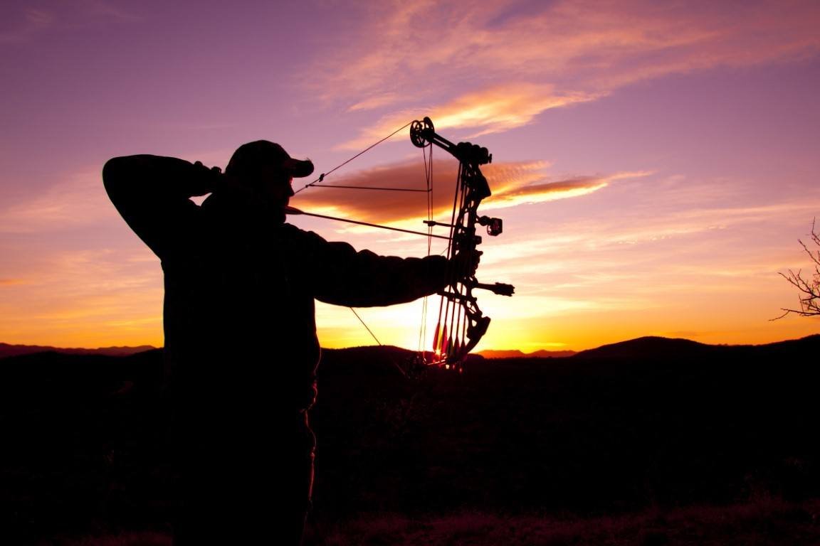 Best Bow Sight for Hunting in 2023 (REVIEW GUIDE)